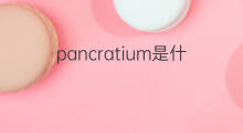pancratium是什么意思 pancratium的中文翻译、读音、例句