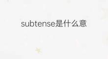 subtense是什么意思 subtense的中文翻译、读音、例句