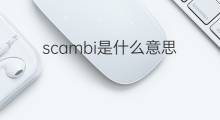 scambi是什么意思 scambi的中文翻译、读音、例句