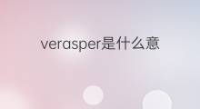 verasper是什么意思 verasper的中文翻译、读音、例句