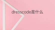 dresscode是什么意思 dresscode的中文翻译、读音、例句