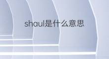 shaul是什么意思 shaul的中文翻译、读音、例句