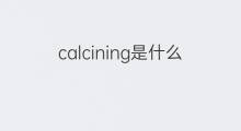 calcining是什么意思 calcining的中文翻译、读音、例句