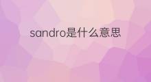 sandro是什么意思 sandro的中文翻译、读音、例句