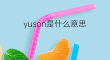 yuson是什么意思 yuson的中文翻译、读音、例句