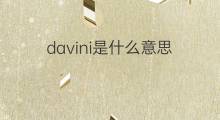 davini是什么意思 davini的中文翻译、读音、例句
