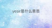 yesir是什么意思 yesir的中文翻译、读音、例句