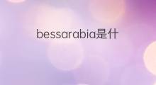 bessarabia是什么意思 bessarabia的中文翻译、读音、例句