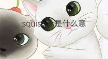 squishes是什么意思 squishes的中文翻译、读音、例句
