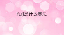 fuji是什么意思 fuji的中文翻译、读音、例句