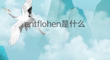 entflohen是什么意思 entflohen的中文翻译、读音、例句