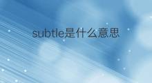 subtle是什么意思 subtle的中文翻译、读音、例句