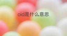 oid是什么意思 oid的中文翻译、读音、例句