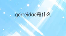 gerreidae是什么意思 gerreidae的中文翻译、读音、例句