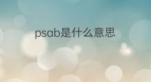 psab是什么意思 psab的中文翻译、读音、例句