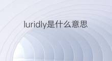 luridly是什么意思 luridly的中文翻译、读音、例句
