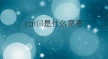 carlill是什么意思 carlill的中文翻译、读音、例句