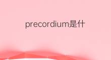 precordium是什么意思 precordium的中文翻译、读音、例句