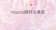 muscid是什么意思 muscid的中文翻译、读音、例句