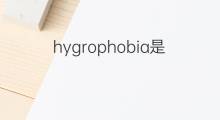 hygrophobia是什么意思 hygrophobia的中文翻译、读音、例句