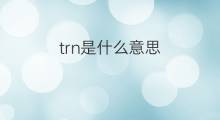 trn是什么意思 trn的中文翻译、读音、例句