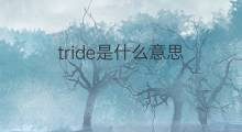 tride是什么意思 tride的中文翻译、读音、例句
