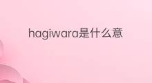 hagiwara是什么意思 hagiwara的中文翻译、读音、例句