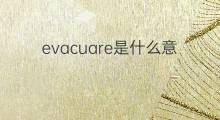 evacuare是什么意思 evacuare的中文翻译、读音、例句