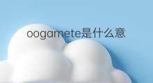 oogamete是什么意思 oogamete的中文翻译、读音、例句