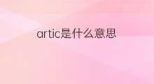 artic是什么意思 artic的中文翻译、读音、例句
