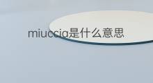 miuccia是什么意思 英文名miuccia的翻译、发音、来源