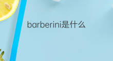 barberini是什么意思 barberini的中文翻译、读音、例句