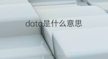 data是什么意思 data的中文翻译、读音、例句