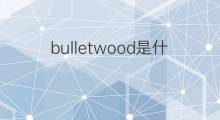 bulletwood是什么意思 bulletwood的中文翻译、读音、例句