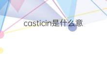 casticin是什么意思 casticin的中文翻译、读音、例句