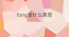 fong是什么意思 fong的中文翻译、读音、例句