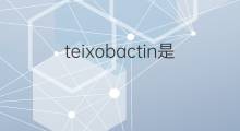 teixobactin是什么意思 teixobactin的中文翻译、读音、例句