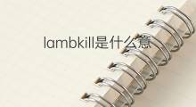 lambkill是什么意思 lambkill的中文翻译、读音、例句