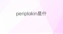 periplakin是什么意思 periplakin的中文翻译、读音、例句