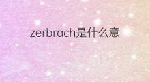 zerbrach是什么意思 zerbrach的中文翻译、读音、例句