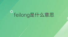 feilong是什么意思 feilong的中文翻译、读音、例句