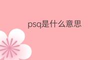 psq是什么意思 psq的中文翻译、读音、例句
