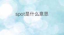 spot是什么意思 spot的中文翻译、读音、例句