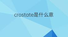 crostate是什么意思 crostate的中文翻译、读音、例句
