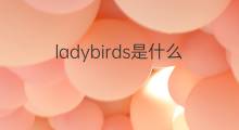 ladybirds是什么意思 ladybirds的中文翻译、读音、例句