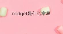 midget是什么意思 midget的中文翻译、读音、例句