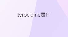 tyrocidine是什么意思 tyrocidine的中文翻译、读音、例句