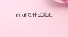 infall是什么意思 infall的中文翻译、读音、例句