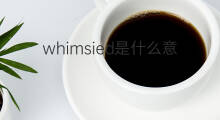 whimsied是什么意思 whimsied的中文翻译、读音、例句
