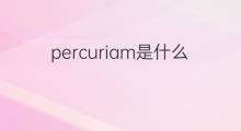 percuriam是什么意思 percuriam的中文翻译、读音、例句